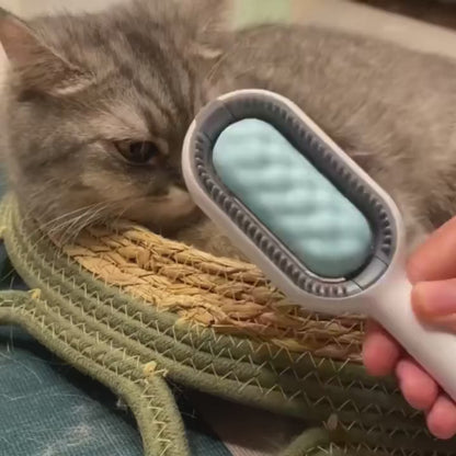 Sticky Comb