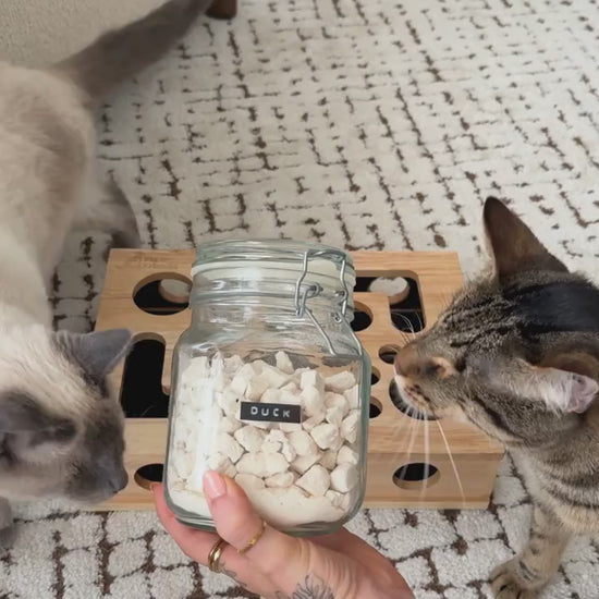 CatEnrichmentBox
