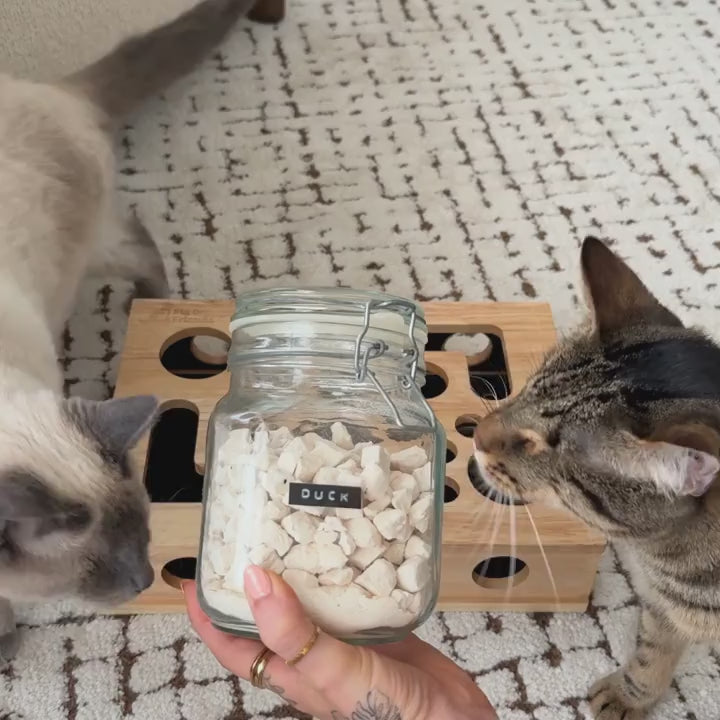 CatEnrichmentBox