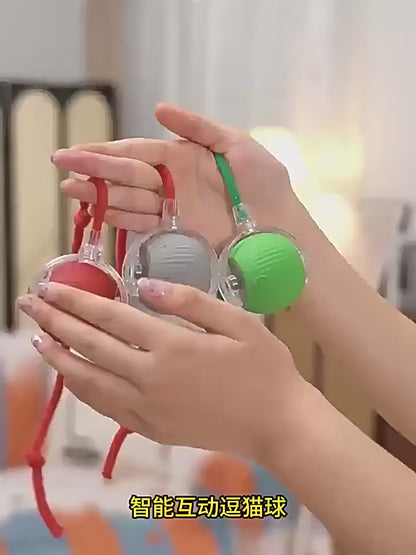 New Cat Interactive Ball Toy