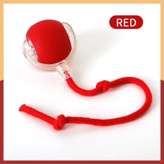 New Cat Interactive Ball Toy