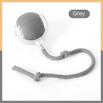 New Cat Interactive Ball Toy